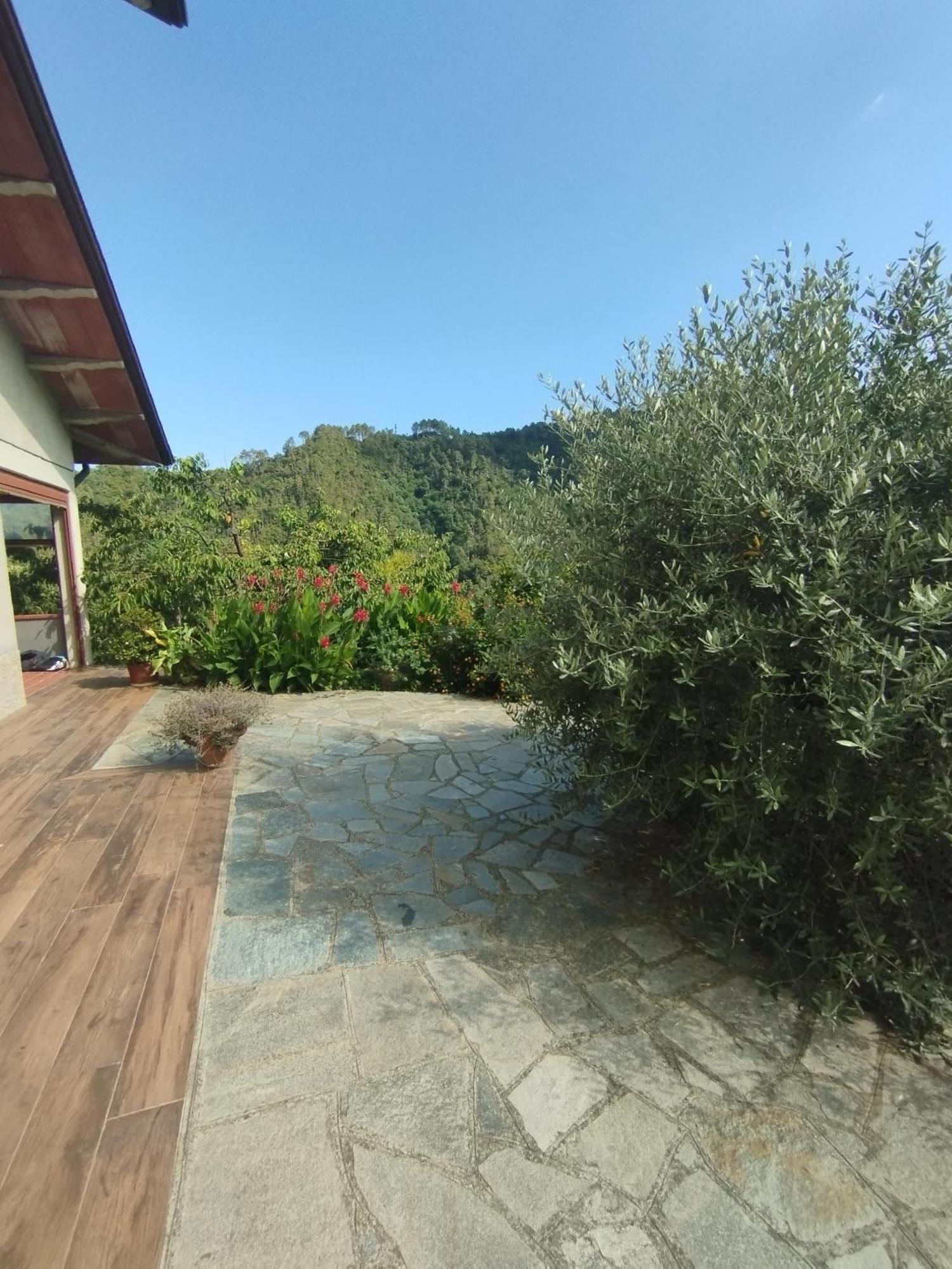 Villa Degli Ulivi Tivegna Exterior photo